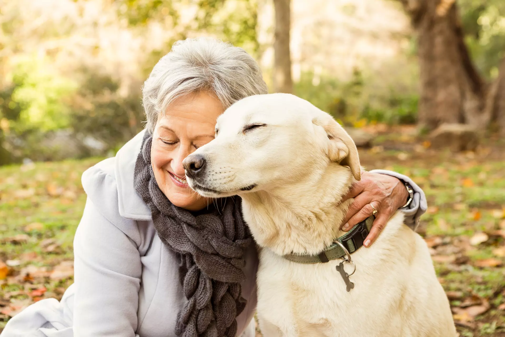 Senior Pet Care